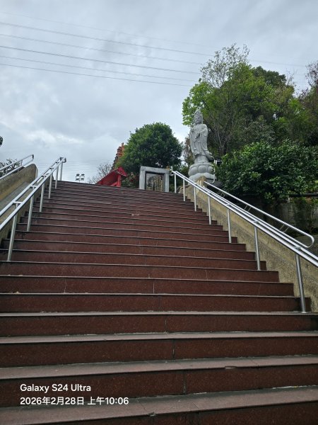 2026-02-28微笑山線：【大棟山系】405高地段3008677