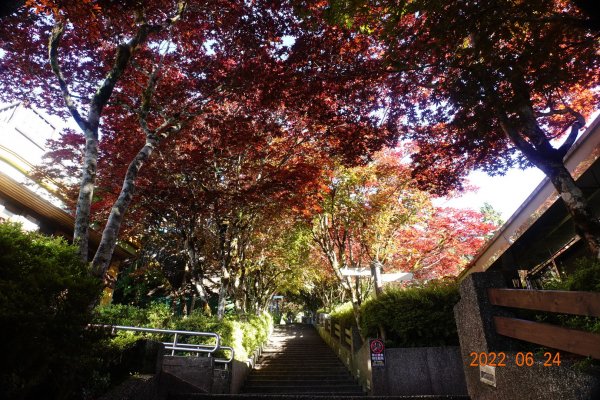 宜蘭 大同 太平山森林遊樂區1743630