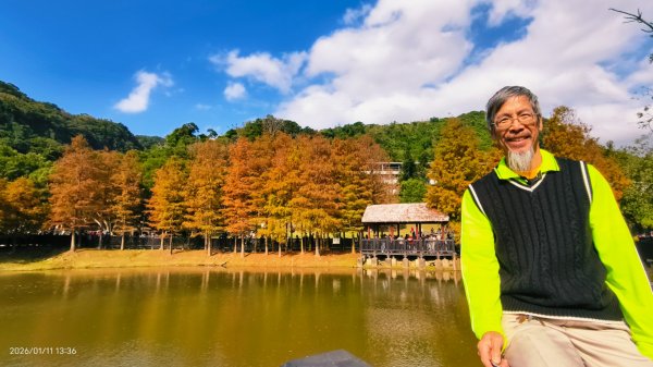 #花卉試驗中心 #永公路500巷 #平菁街42巷 #原住民公園 #士林官邸 1/42980349