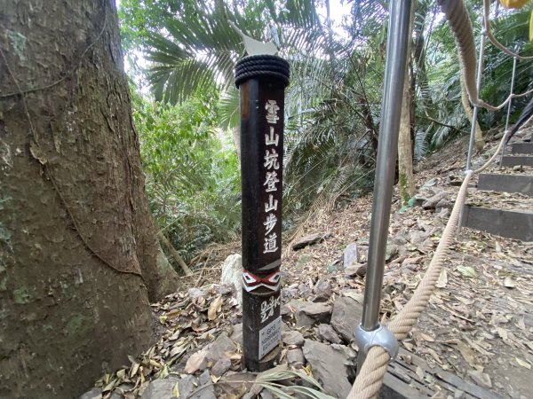 《雪山坑登山步道｜巨人之手森林秘境 Xueshankeng Hiking Trail & Giant2971068