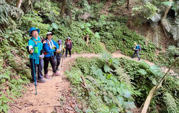 鳴鳳山古道群走鳴鳳山 三湖山吃仙草冰2923301