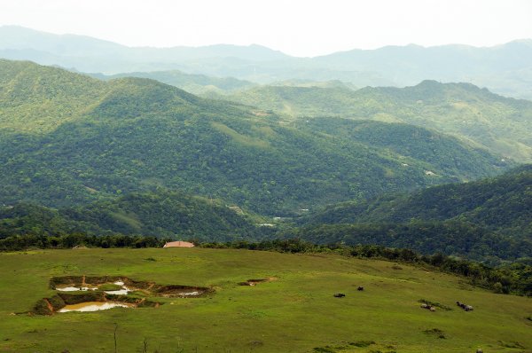 桃源谷、灣坑頭山、草嶺山611376