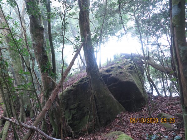 20201009 紅毛山 無名山O型1132385