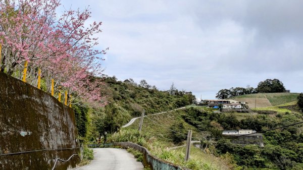 《踏莎行。太麻里山春色》2720577