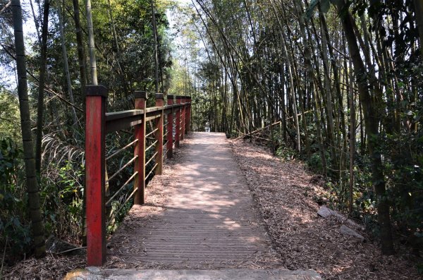 後棟仔山 & 雲嘉大尖山1378295