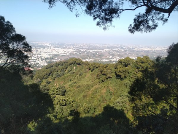 鼓山尖峰泡茶趣---田中森林登山步道818725