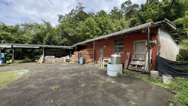 20250803枋山坑古道2850504