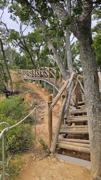 20251218犁頭山-吧哩國山主東峰-石頭坑山西南峰-石頭坑山2966999