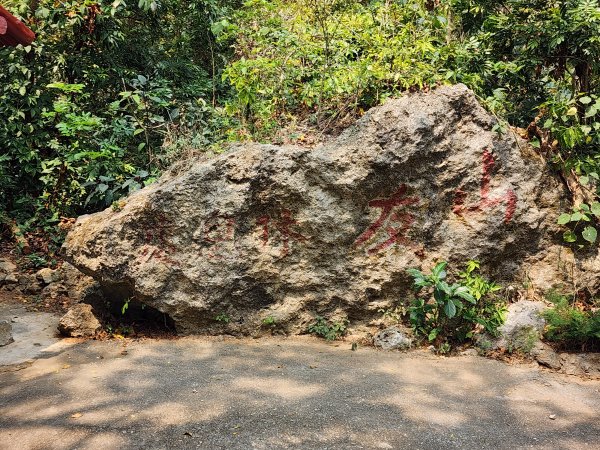 小百岳No.77⛰壽山3025166