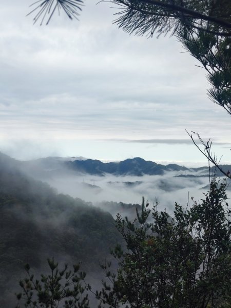 谷關老八阿冷山2699802