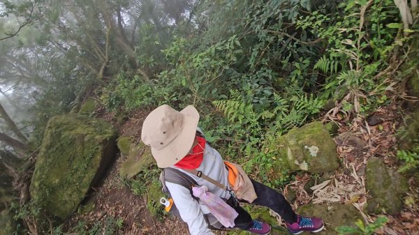 馬武督山西南峰+馬武督山O型走3012863