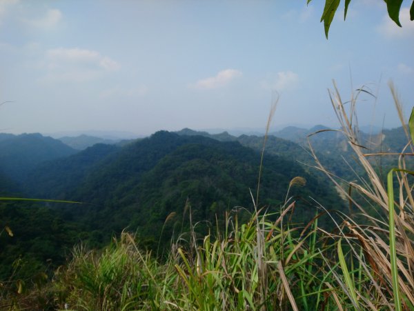 霧峰奧山桐林山步道群通爬860256