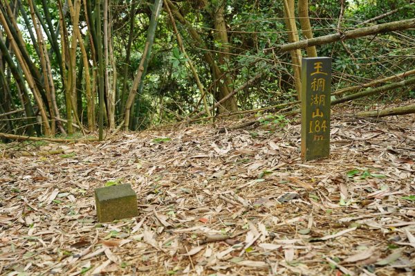 臺北 士林 玉稠湖山、石角山、白雲山、天母山2495984