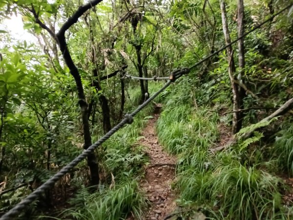 頭城鎮石城車站+隆嶺越嶺古道+隆嶺溪畔古道+福隆車站3002279