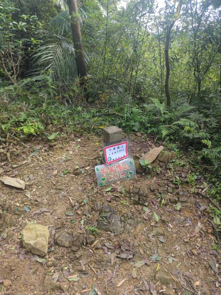 2026.01.25－微笑山線：【天上山系】烘爐地土地公段2994595