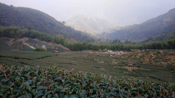 四天皇山知鳥山青園山篤鼻山1264671