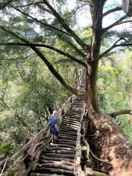 小百岳(41)-頭嵙山(二號步道)-202108151785268