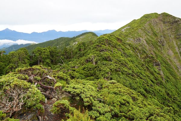 2018-08-03雪山主北387406