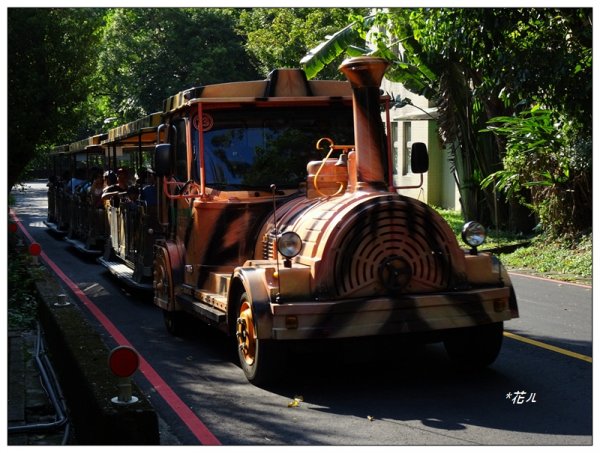 台北市動物園之旅1498036