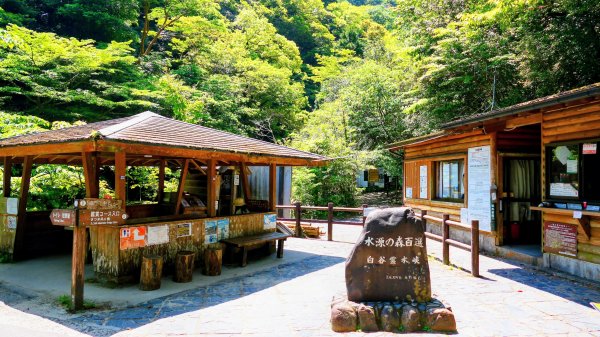 南九州－屋久島白谷雲水峽3063308