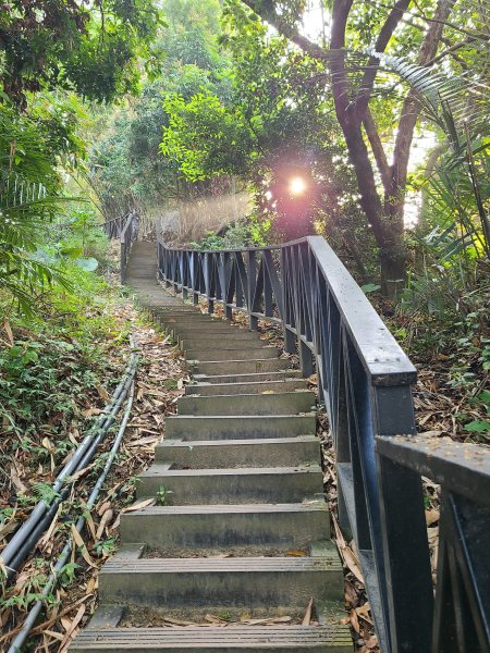 大坑6號上+8號探路+7號下2771418