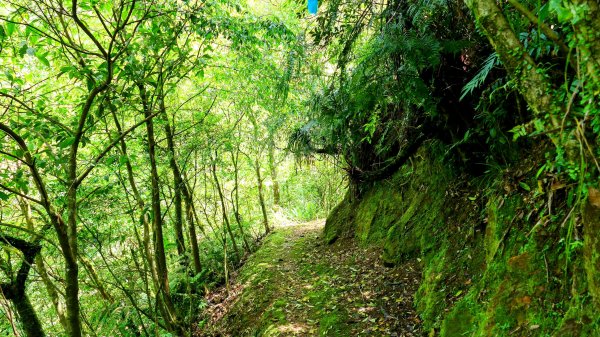 畝畝山。又上說2768135