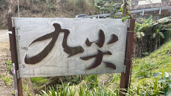 九份二山 集集大山 九尖賞梅2695261