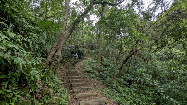 114.06.07過港山-四腳亭砲台-深澳坑砲台山之旅2806569
