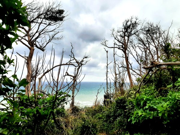 琅嶠卑南古道2700544