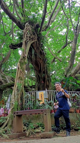 外南勢角山(國旗嶺)-圓通寺環山步道1700458