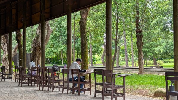 20250629大湳森林公園好所在2823587