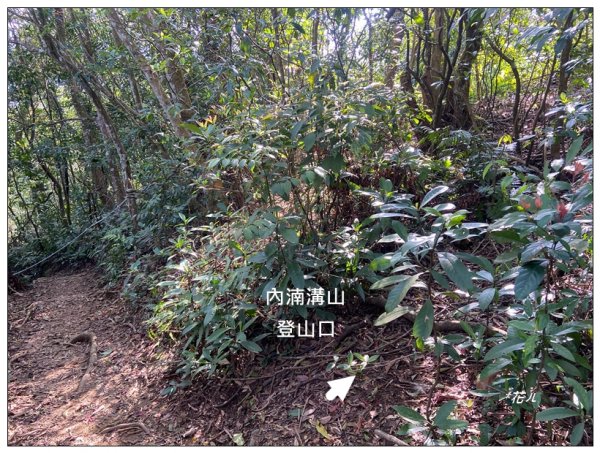 頭寮山、內湳溝山、牛角湳西南峰O型連走2738969