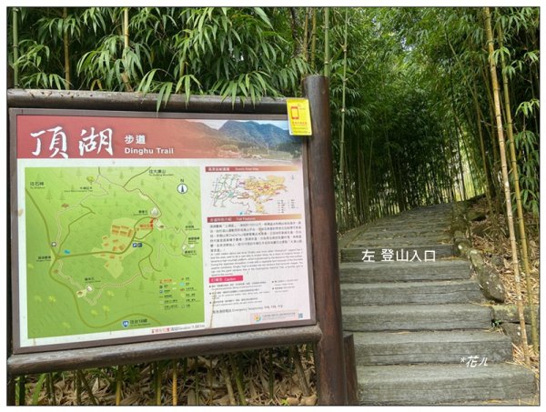 大凍山、頂湖步道 O型ㄧ圈2984147