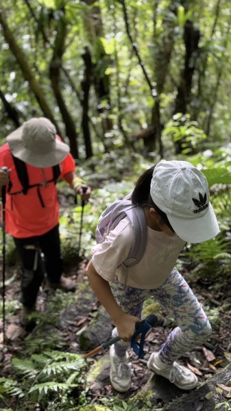 20250803枋山坑古道2850500