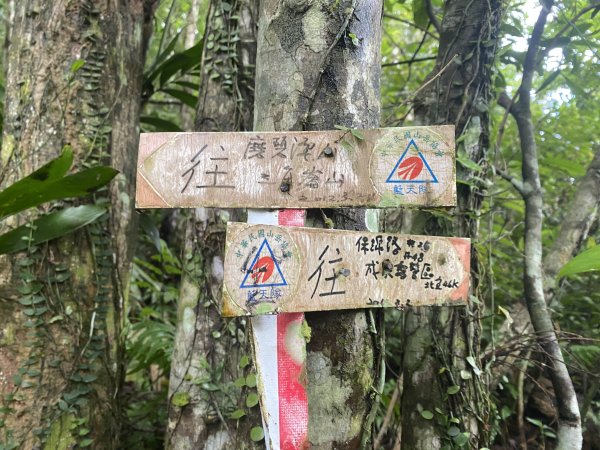 【淡蘭古道尋寶任務】淡蘭南路第四段｜𩻸魚堀溪自行車道至縣界公園2926436