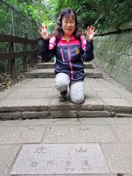 【Move Free 益節逆齡行動】虎山1168448