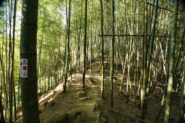 南投 鹿谷 龍鳳山、龍鳳峽山、三叉崙山、水桶寮山、內樹皮山、羊頭崙山、志騰山、竹崙山、溪頭山2962241