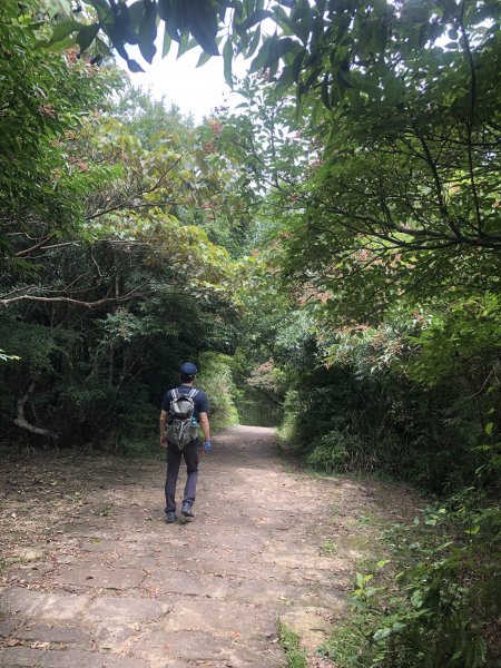 大崙頭山，親民小百岳健行1729683