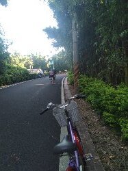 霄裡好風光,運動樂悠遊-永安漁港2814920