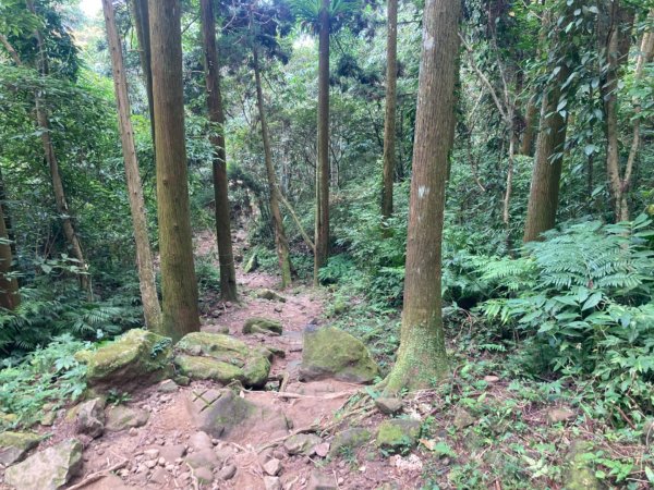 五指山登山步道2293189