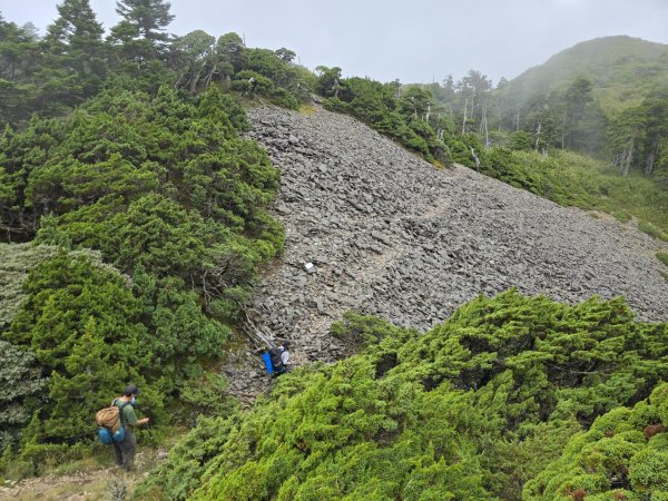 20240927 志雪劍2614929