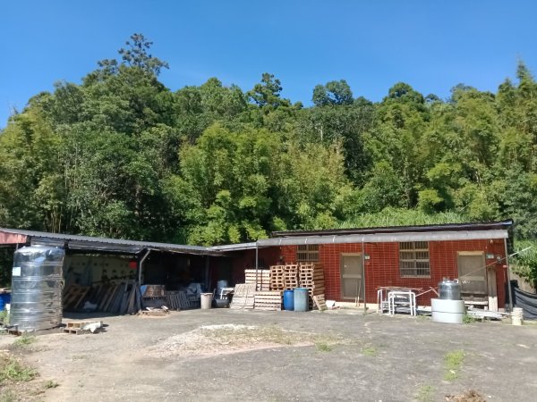 坪林區南闊瀨行(枋山坑古道+枋山坑崙+闊瀨越嶺保甲路O型)2916784