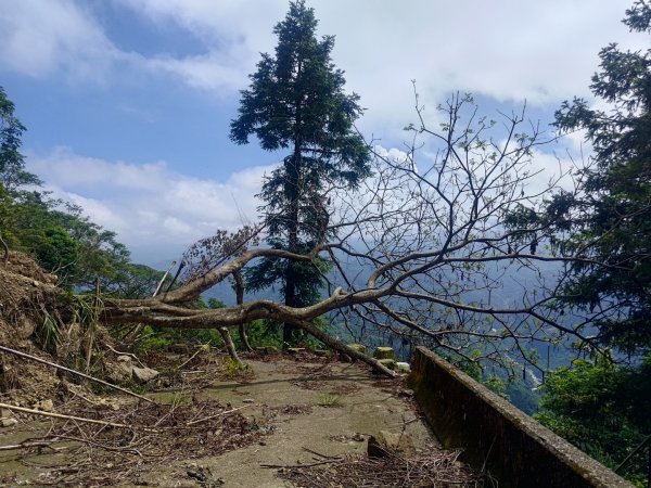 華山4-2號步道上雲嘉連峰2579338