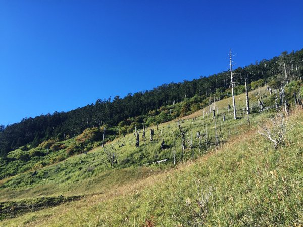 走在聖稜線上 雪山主東峰1708732