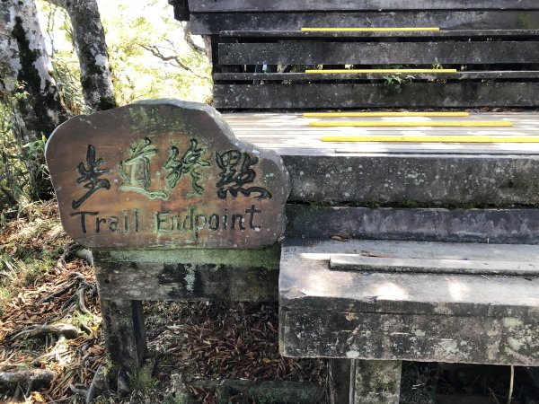 漫步探訪台灣山毛櫸國家步道965907