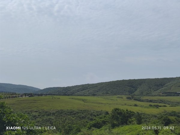 陽明山東西大縱走2610101