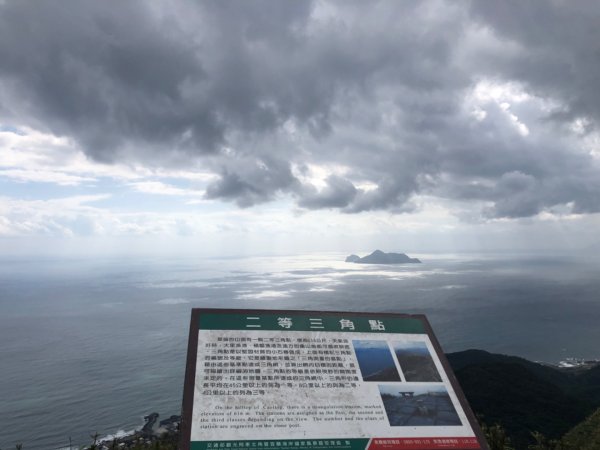 桃源谷秋芒四射草嶺731052