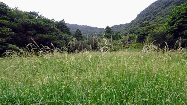 枕頭山(巴拉卡山,菜公坑山)2200063