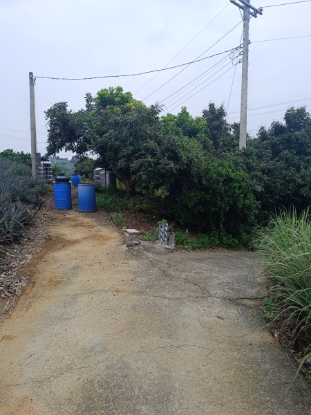 霧峰阿罩霧山2876956