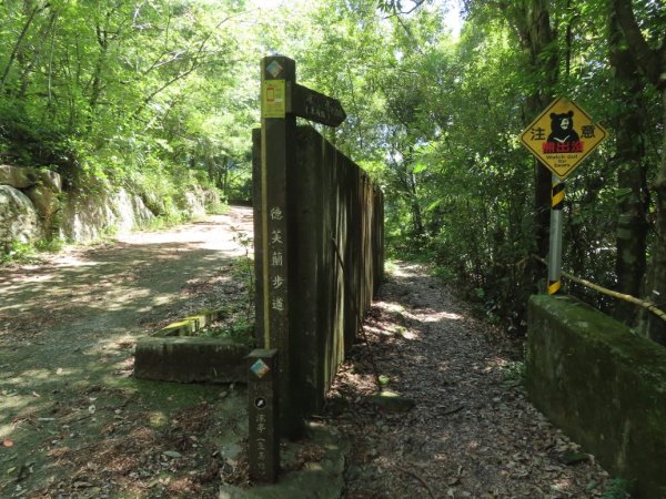 德芙蘭生態步道O形2829438